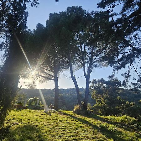 Casa Rural Camino De Hierro I Y II La Fregeneda Dış mekan fotoğraf