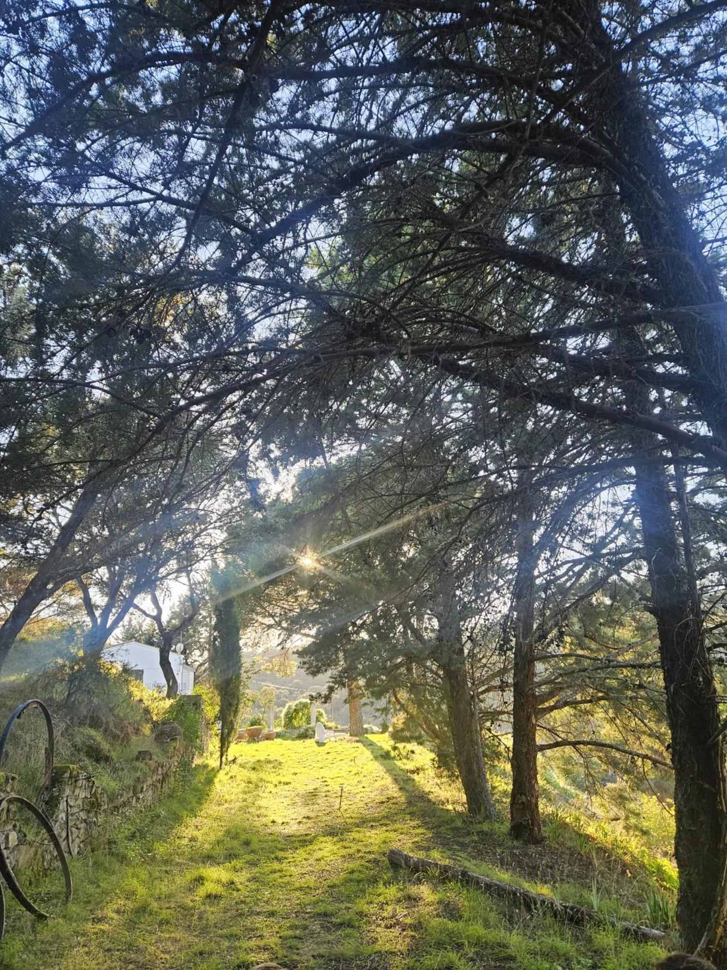 Casa Rural Camino De Hierro I Y II La Fregeneda Dış mekan fotoğraf
