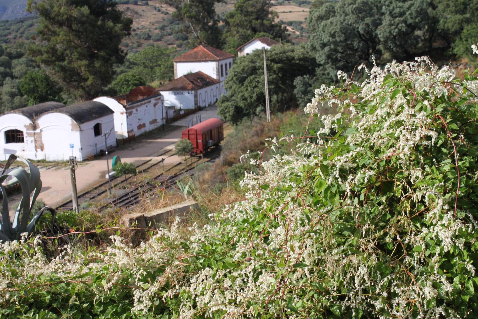 Casa Rural Camino De Hierro I Y II La Fregeneda Dış mekan fotoğraf
