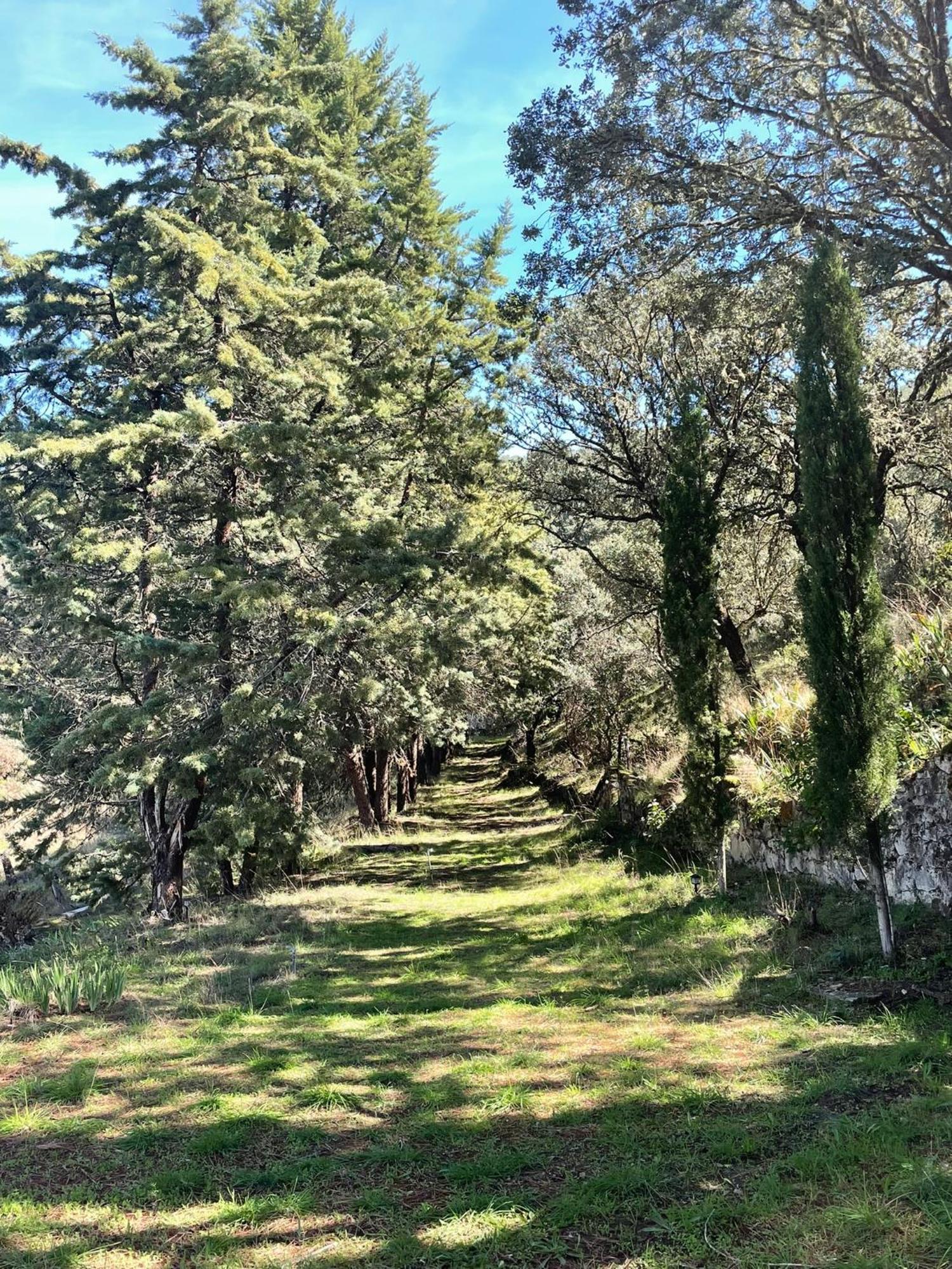 Casa Rural Camino De Hierro I Y II La Fregeneda Dış mekan fotoğraf
